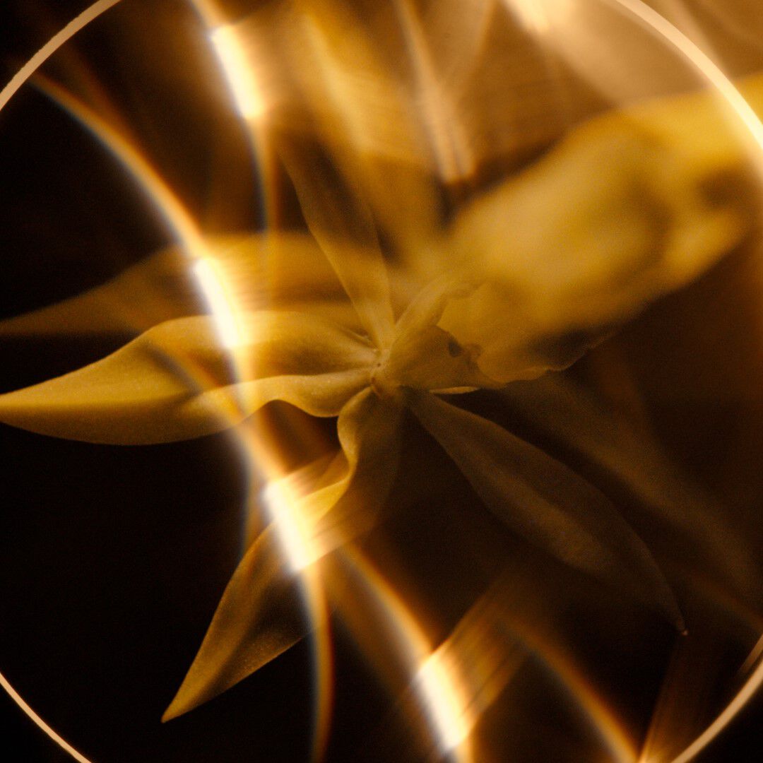 DEN ULTIMATIVE BALM: FORYNGER OG BEROLIGER