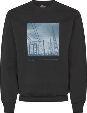Soft Hawk Transmission Sweat