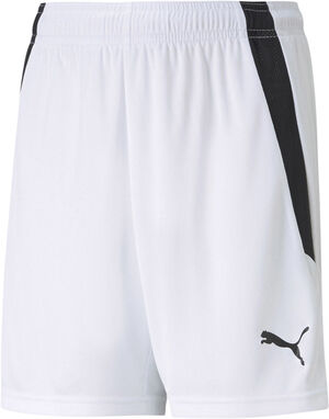 Teamliga shorts