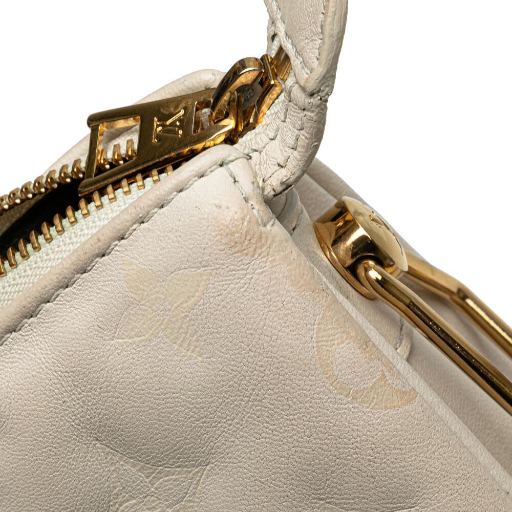 Louis Vuitton Coussin