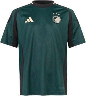 FC. København 3 trøje 24/25