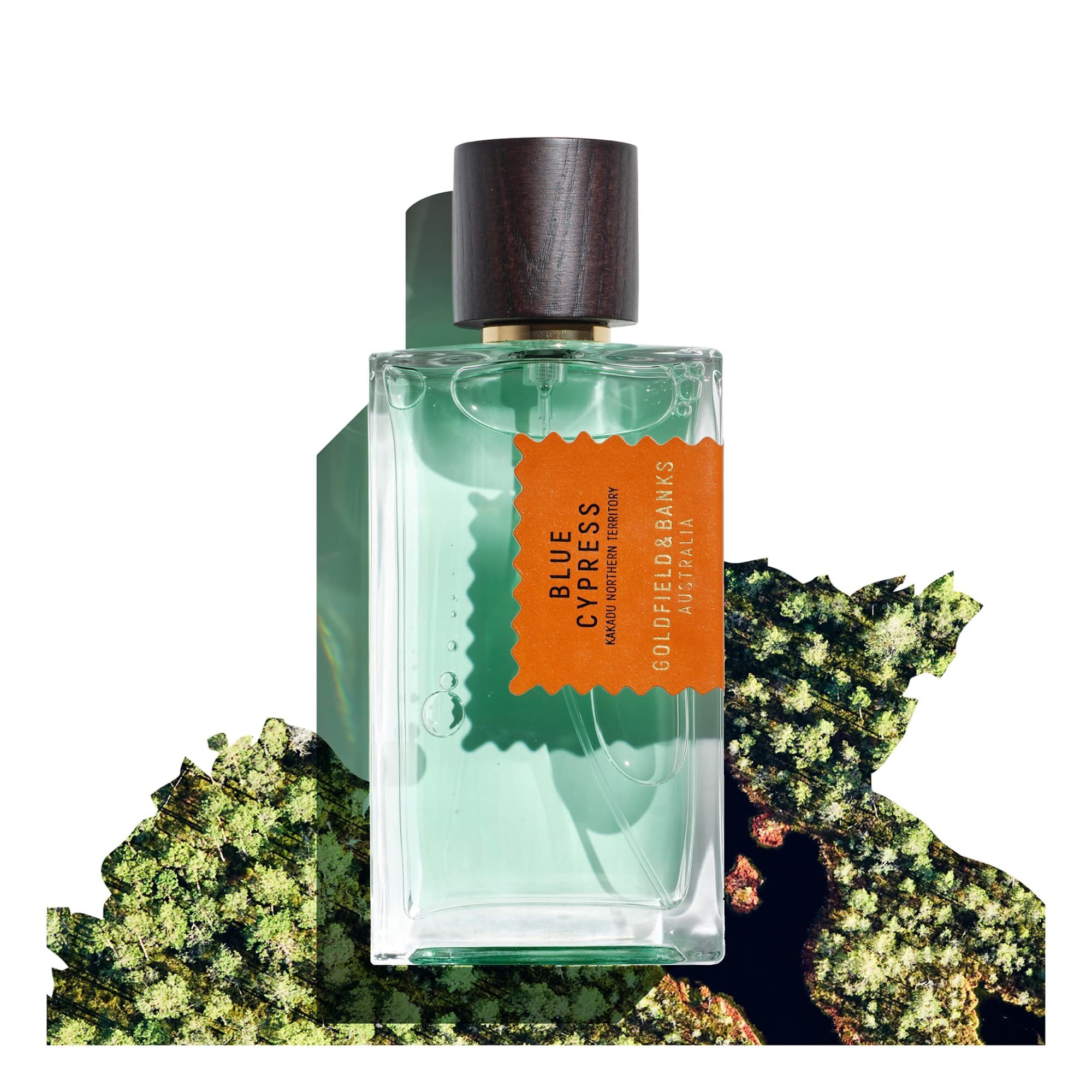 BLUE CYPRESS Perfume 100ml