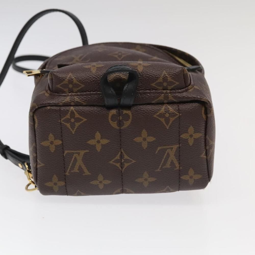 Louis Vuitton Palm Springs