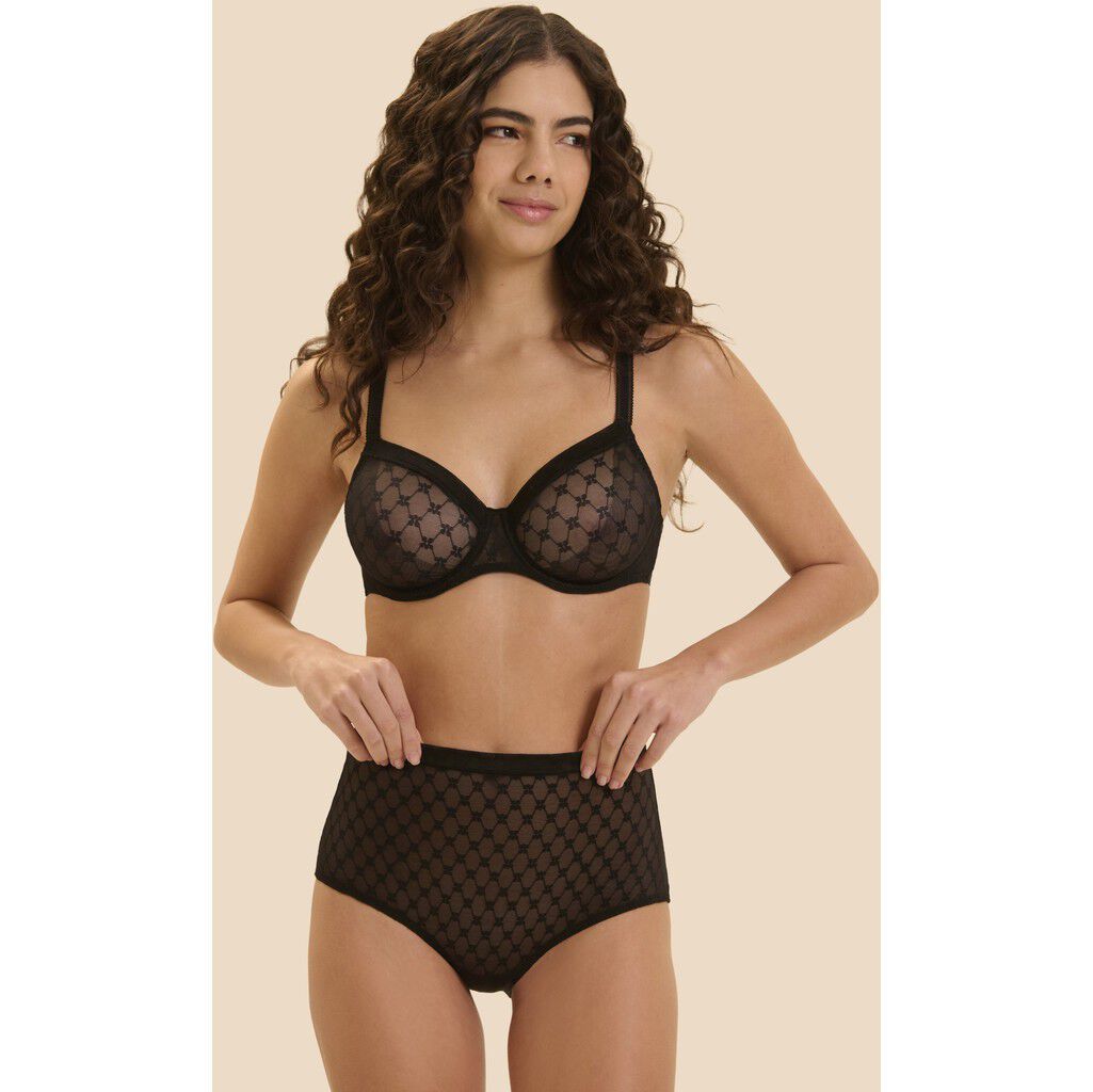 PLUME Control brief