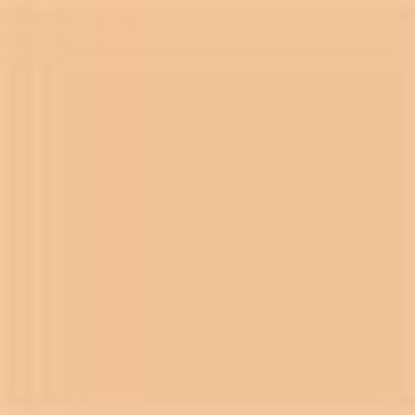 Matte Velvet Skin - Powder Foundation