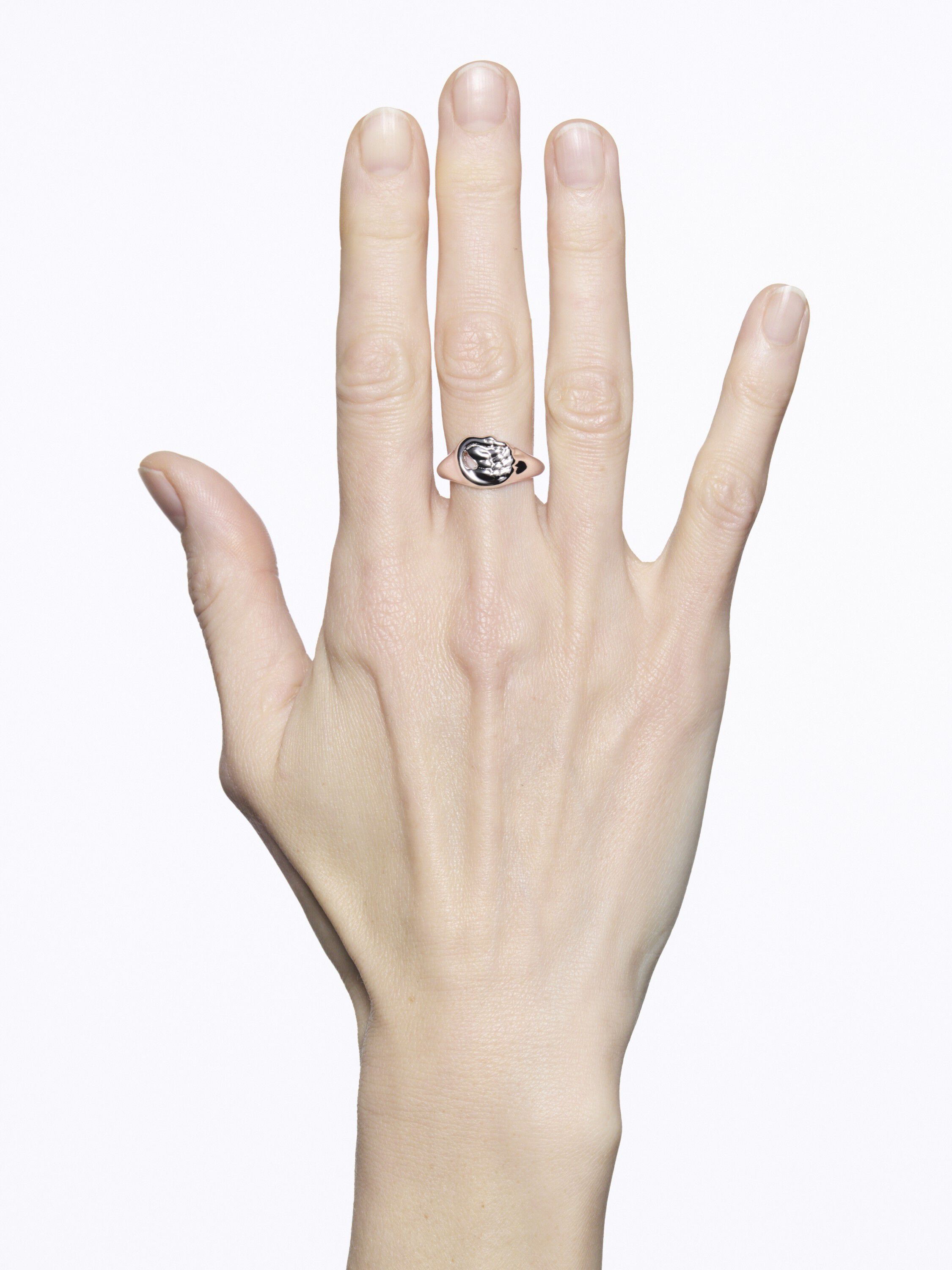 Swan Mini Signet Ring Silver