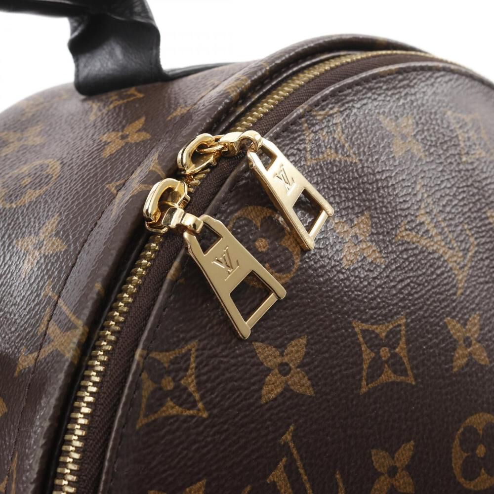 Louis Vuitton Palm Springs