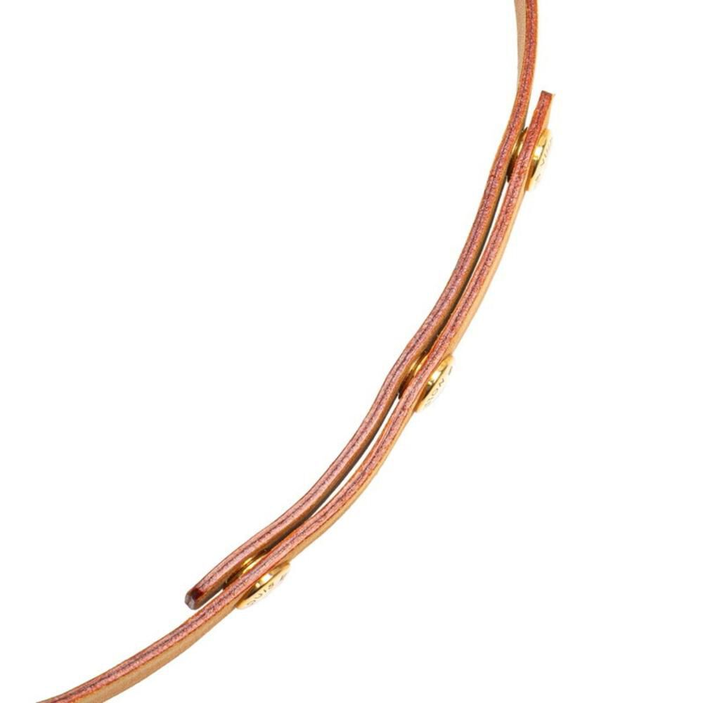 Louis Vuitton Florentine Pochette