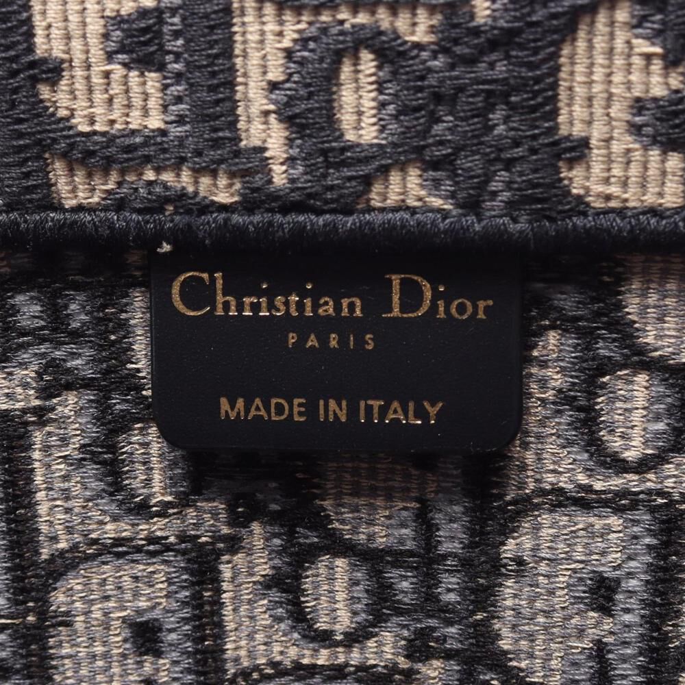 Dior Book Tote