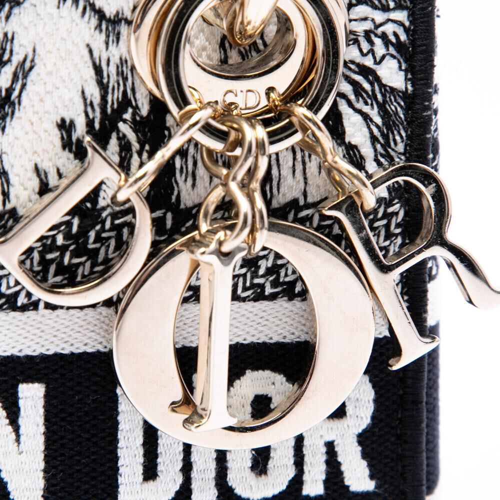 Dior Lady Dior