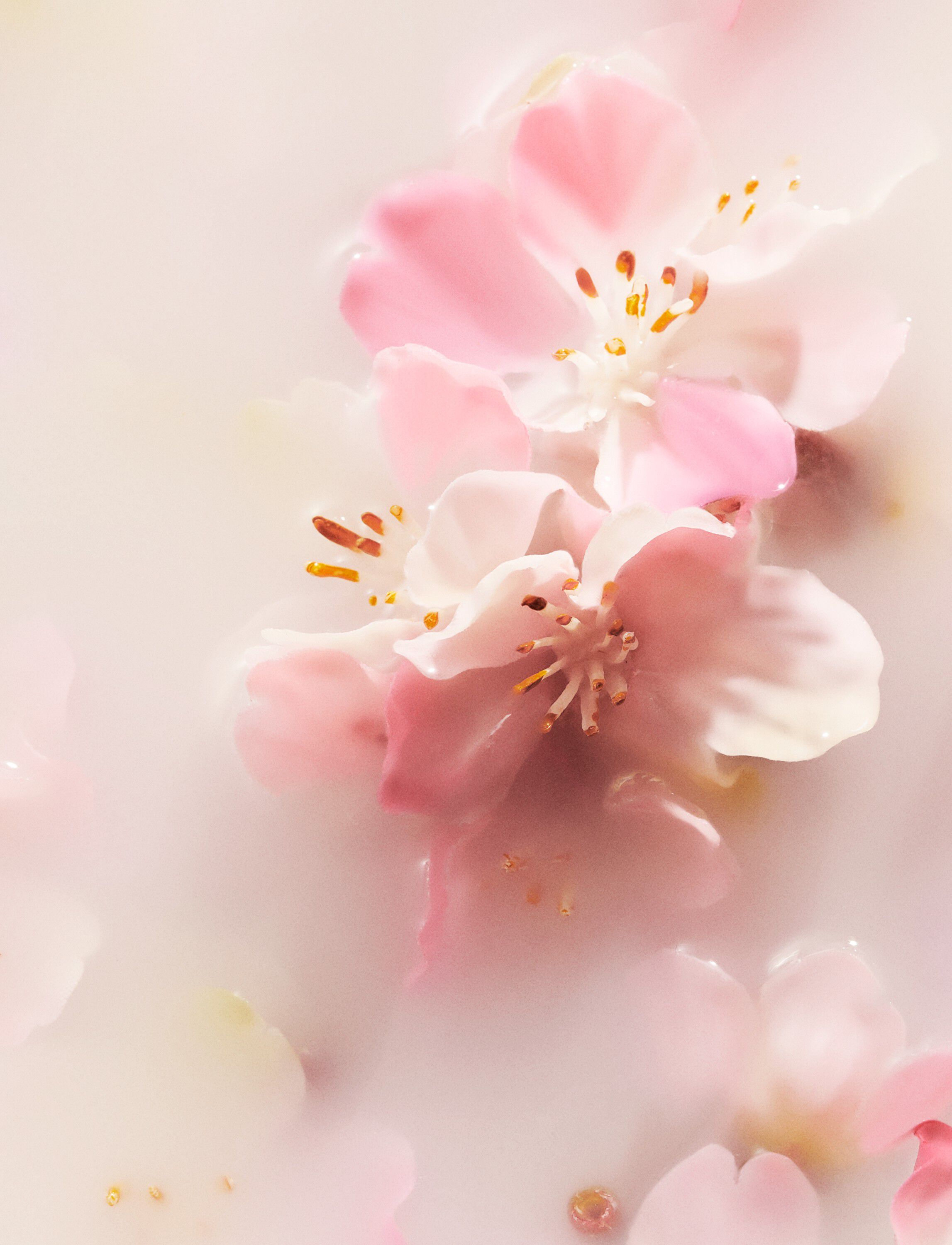 The Ritual of Sakura Refreshing Spray 250ml
