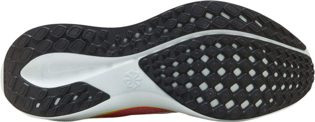 Pegasus 41 L&oslash;besko