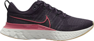 React Infinity Run Flyknit 2 løbesko