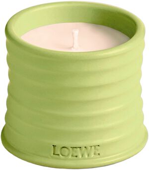 LOEWE Small Cucumber Candle