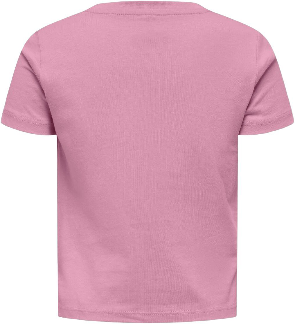 KMGVEGA LIFE SS REG EMB TEE BOX JRS