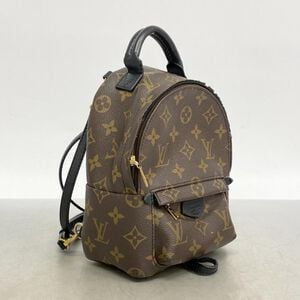 Louis Vuitton Palm Springs