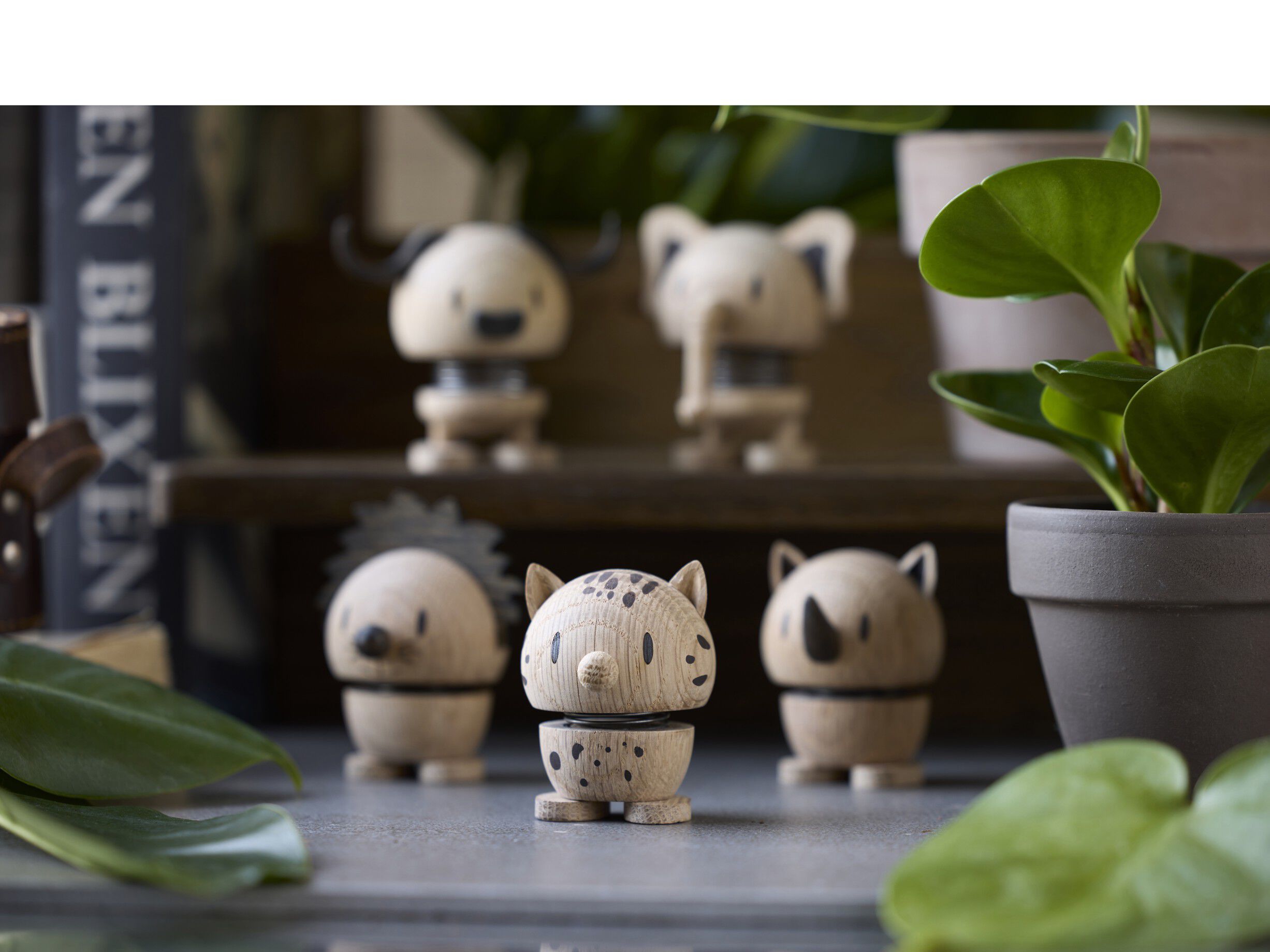 Hoptimist Leopard S Oak