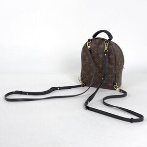 Louis Vuitton Palm Springs