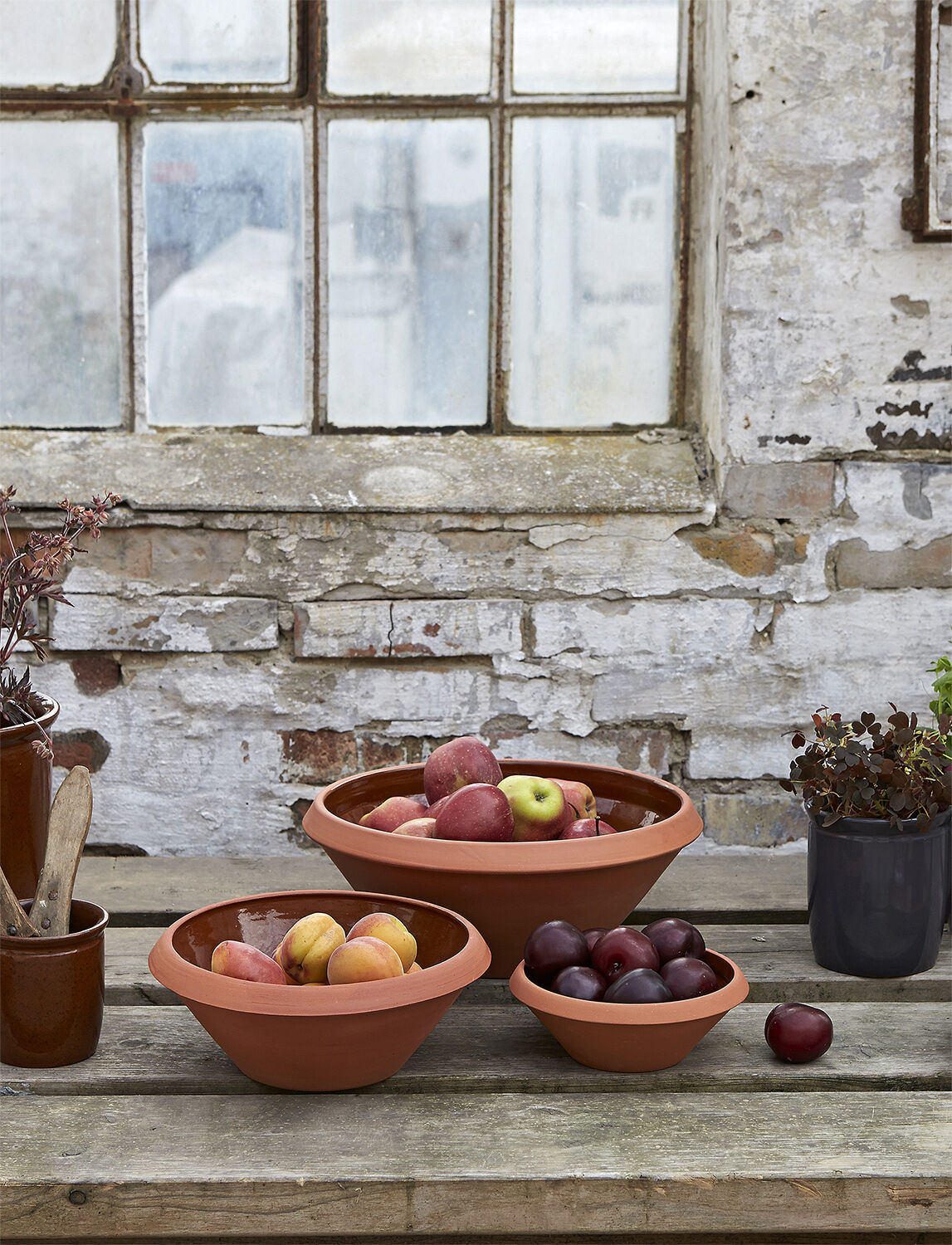 Dejfad, terracotta, 2 l