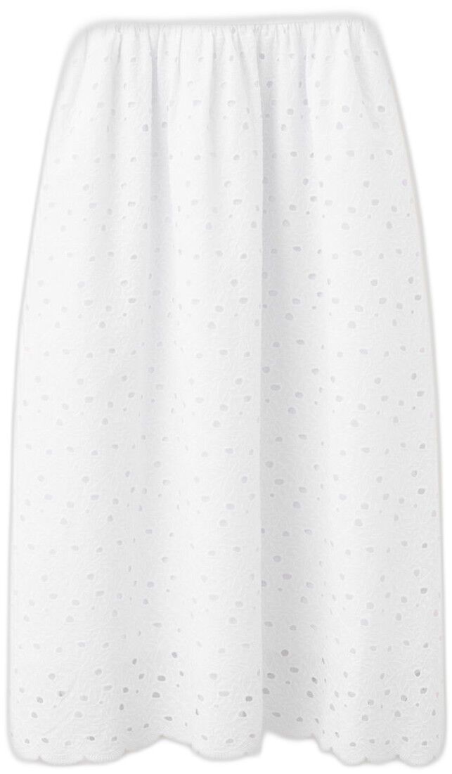 Embroidered lace flared dress