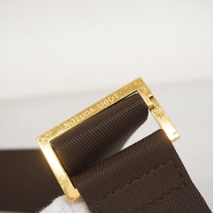 Louis Vuitton Crossbody Bag