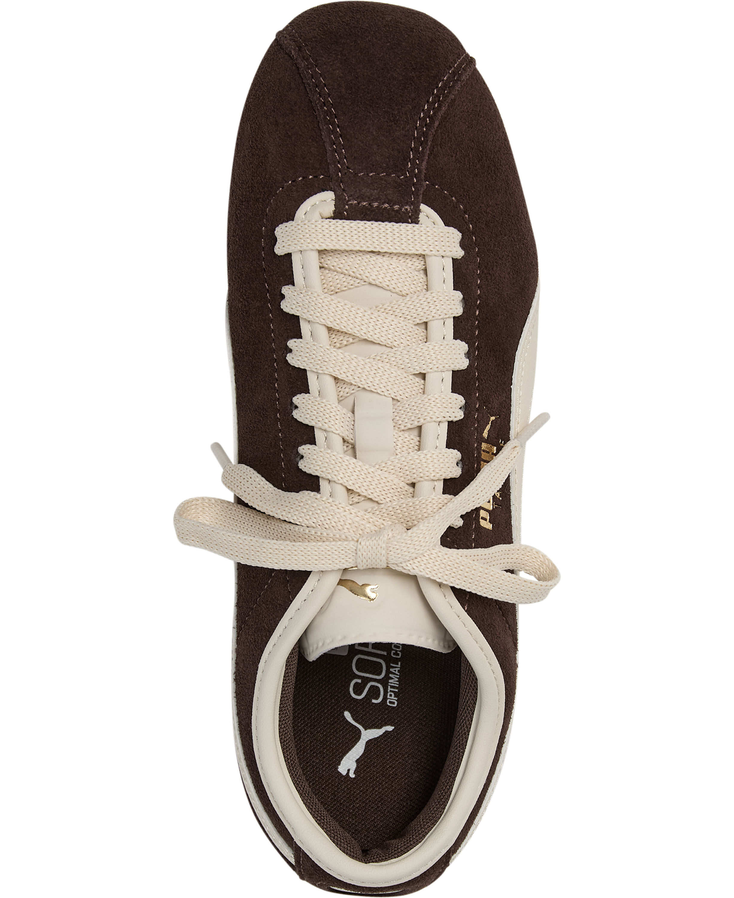 Puma Tackle