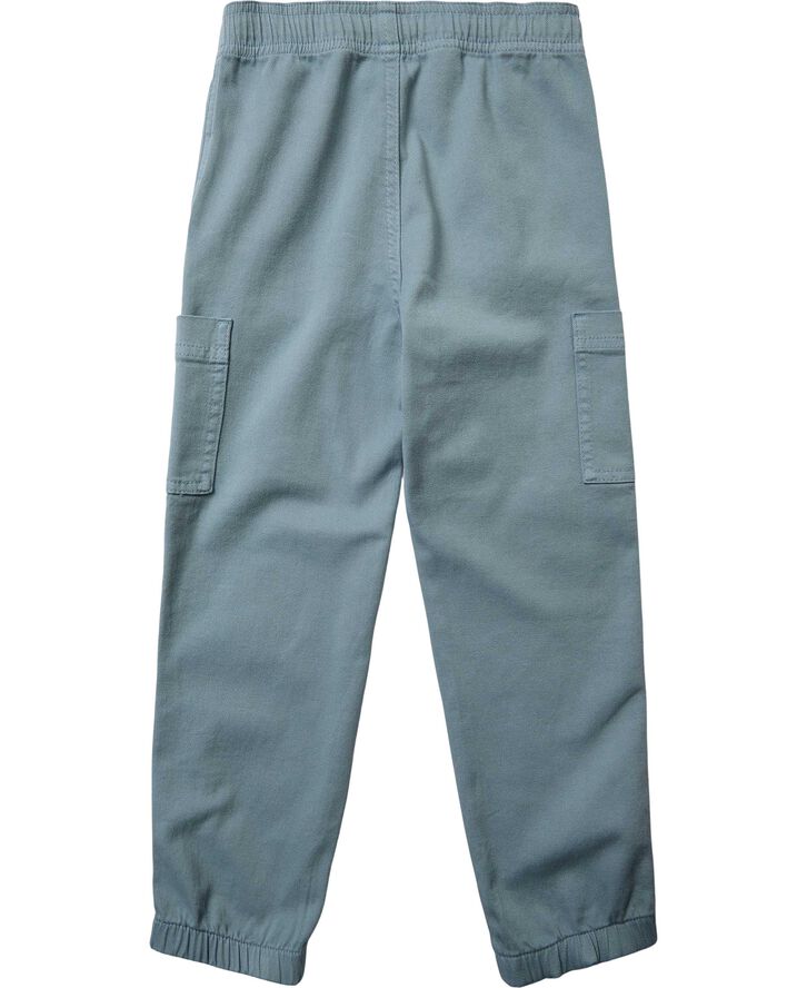 Alex 1 cargo - Organic