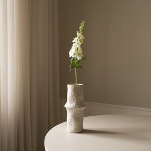 Delphinium Flower