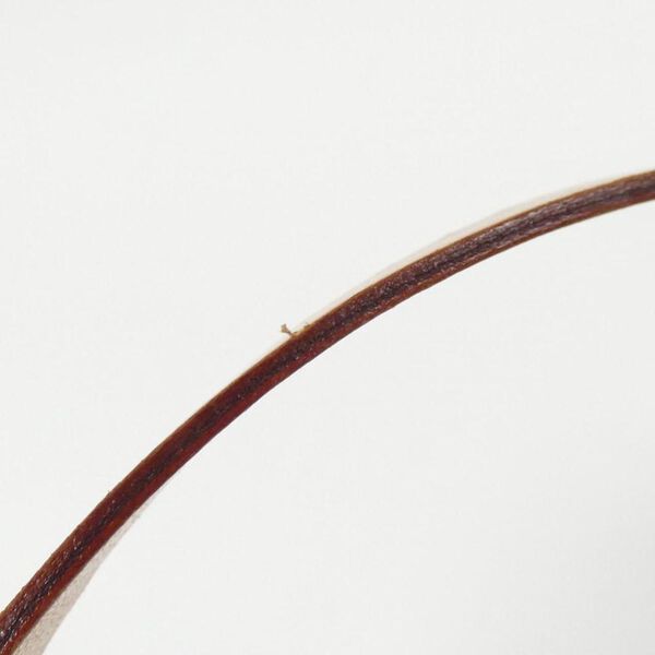 Louis Vuitton Florentine Pochette