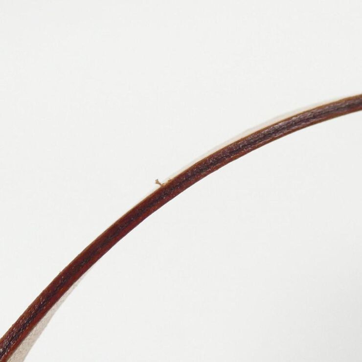 Louis Vuitton Florentine Pochette