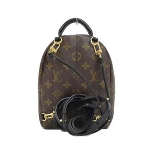 Louis Vuitton Palm Springs