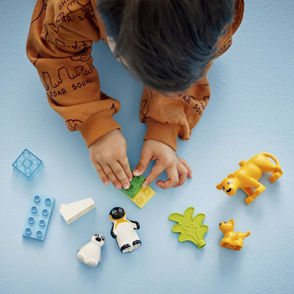 Vilde dyrefamilier pingviner og løver 10442