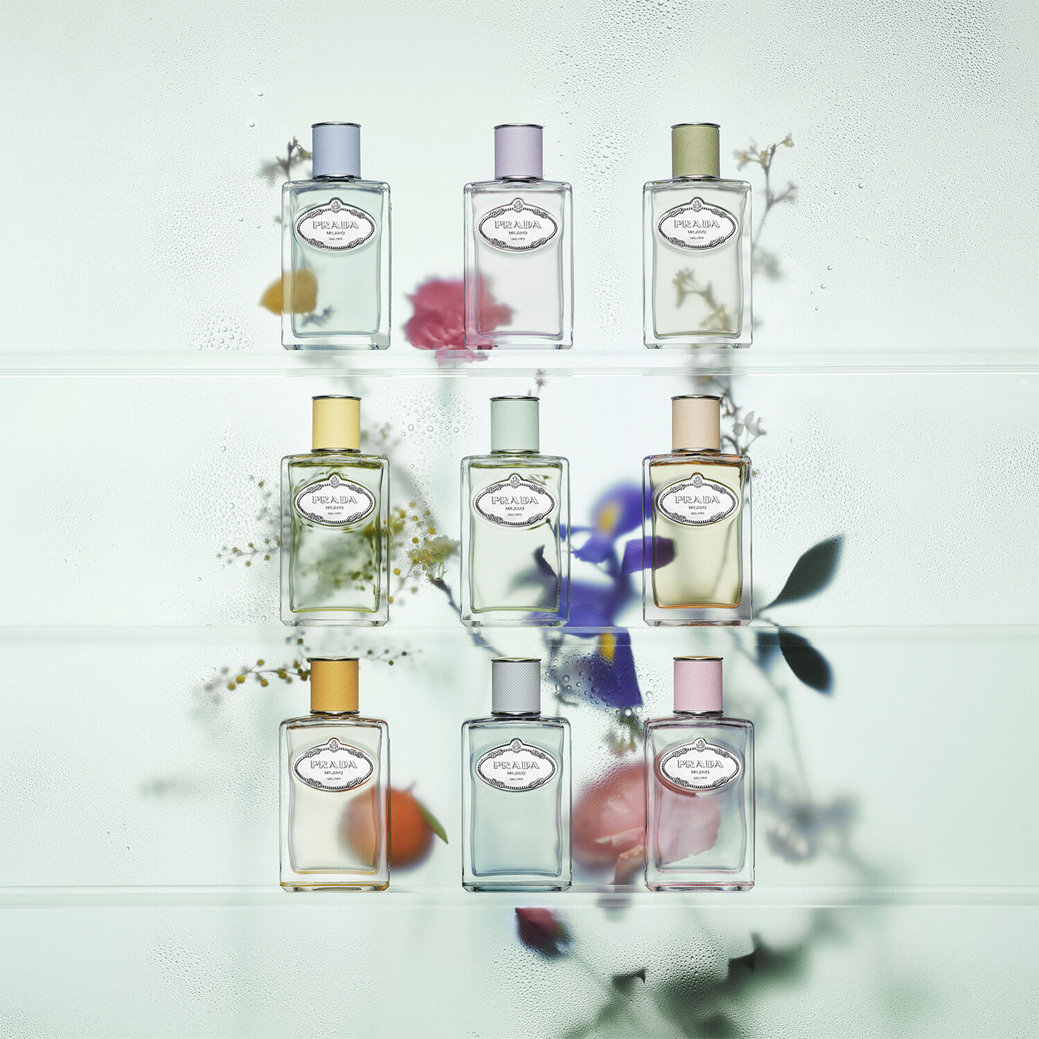 Infusion de Cedre Eau de Parfum