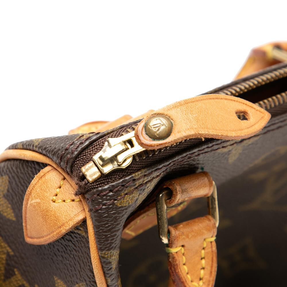 Louis Vuitton Speedy