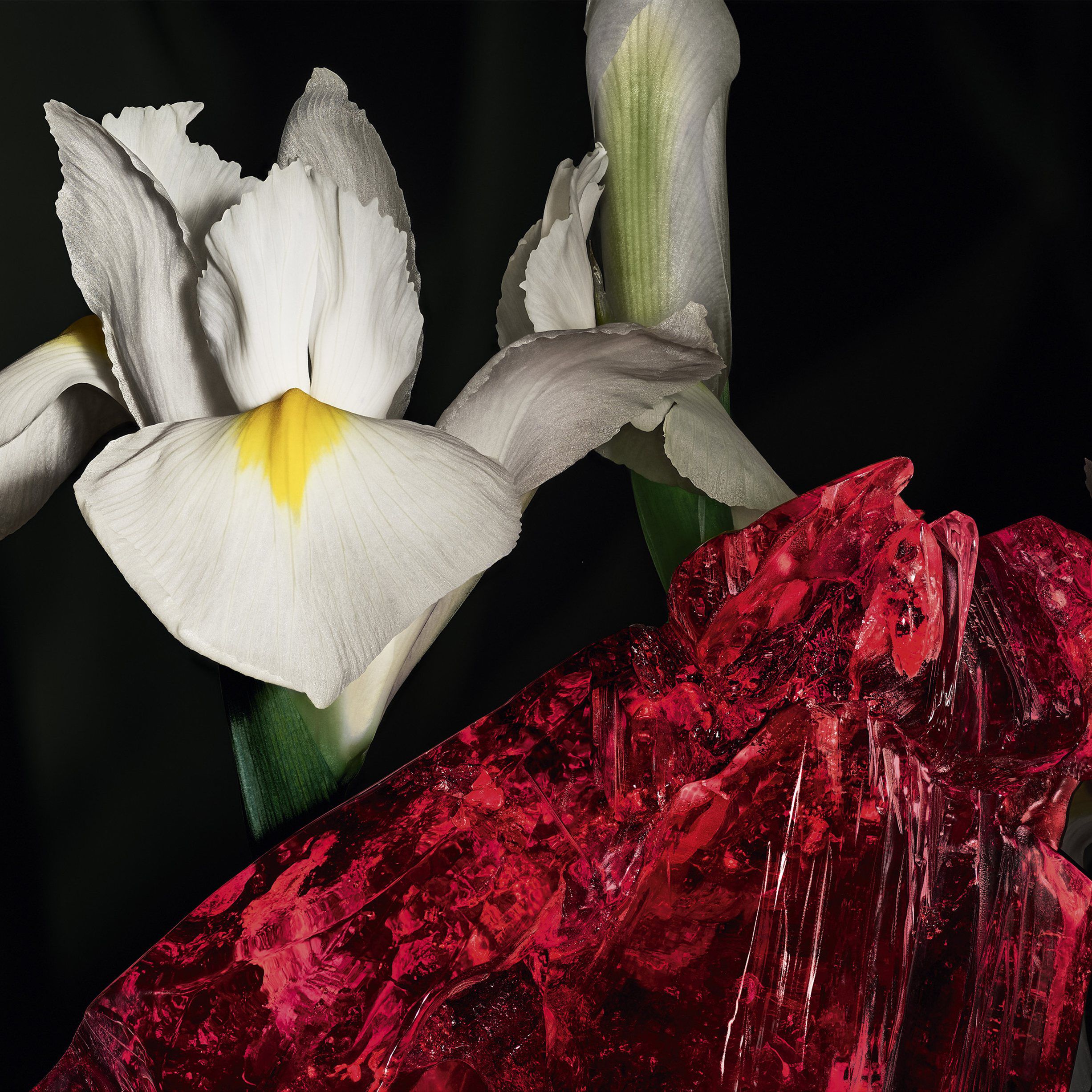 Le Vestiaire des Parfums COEUR Eau de Parfum