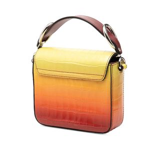 Chlo&eacute; Crossbody Bag