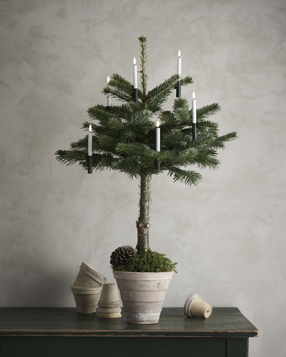 Battery box, plain, Dark green