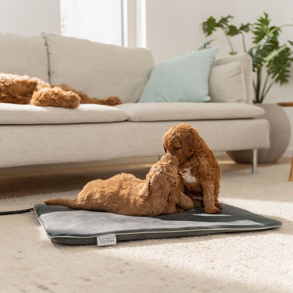 PetCare PP 220 Sammy Varmem&aring;tte til k&aelig;ledyr 65x50 cm