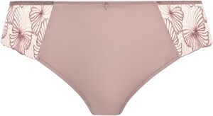 CATELINE BRIEF