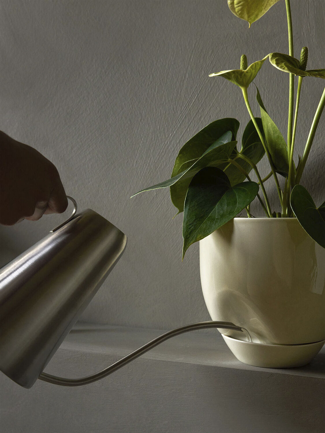 Hydrous Planter, &Oslash;12, Ashen