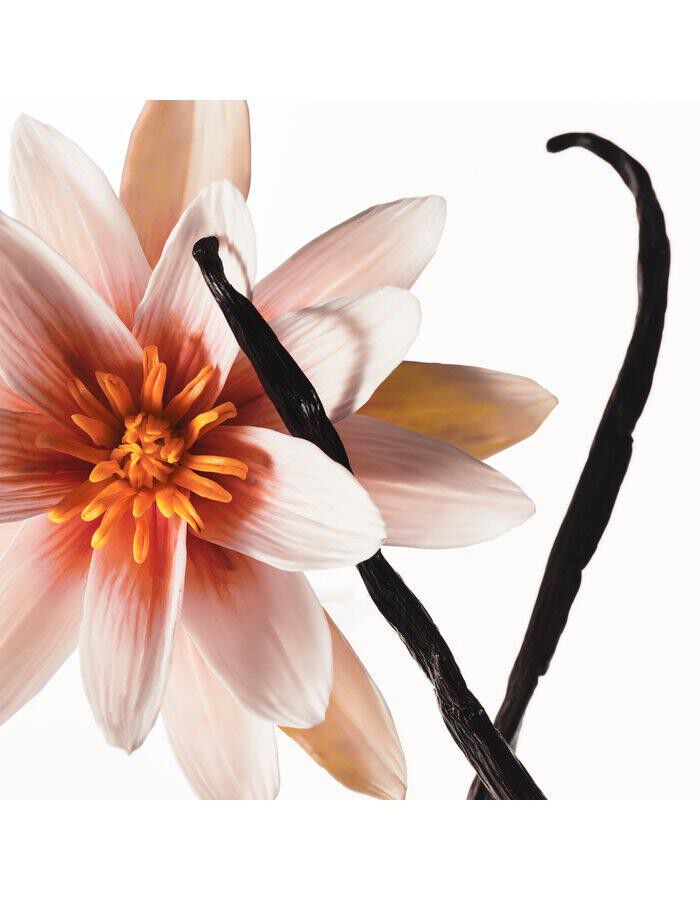 Kylie Jenner Hair & Body Mist Vanilla Dew 236 ml