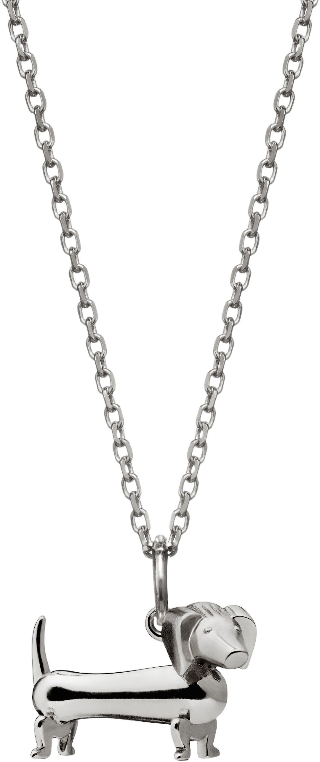 Gravhunden i s&oslash;lv med k&aelig;de med k&aelig;de