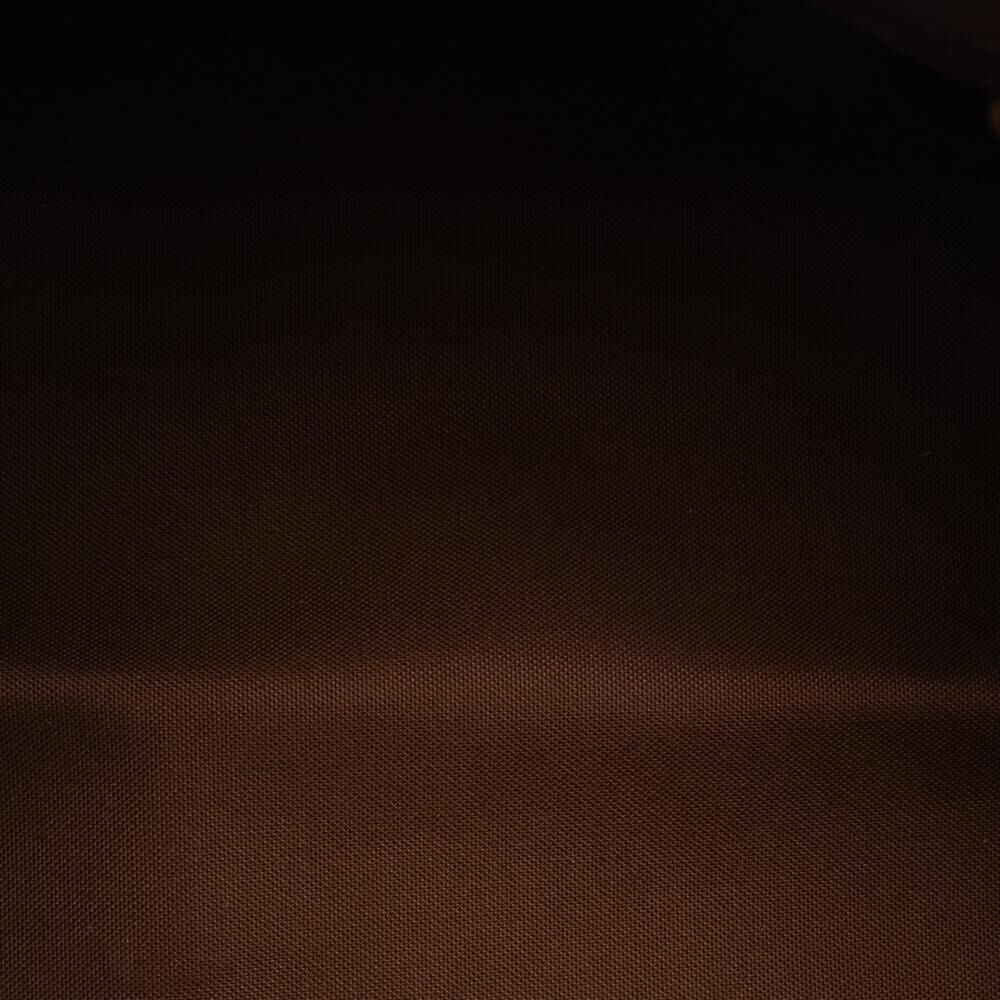 Louis Vuitton Speedy