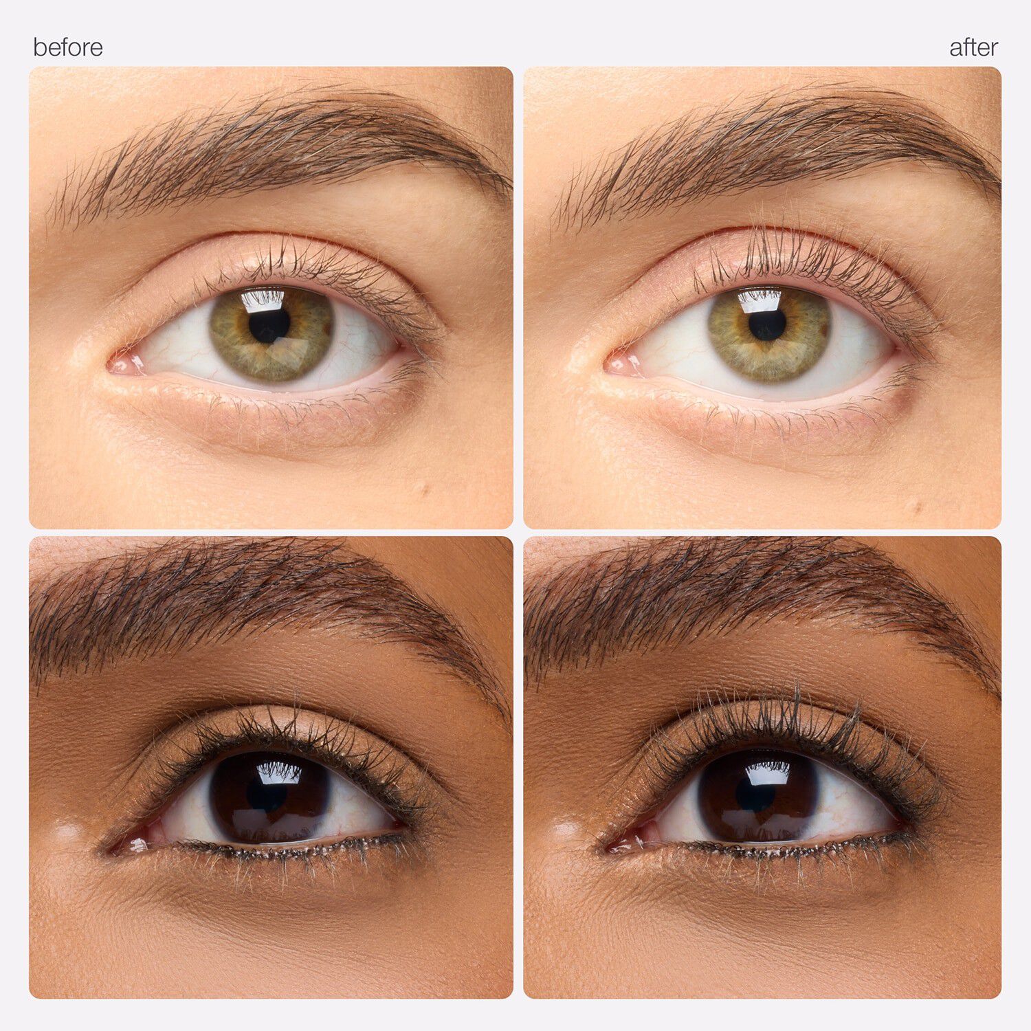 Picture Perfect - Eyelash Curler