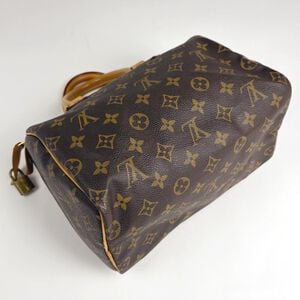 Louis Vuitton Speedy