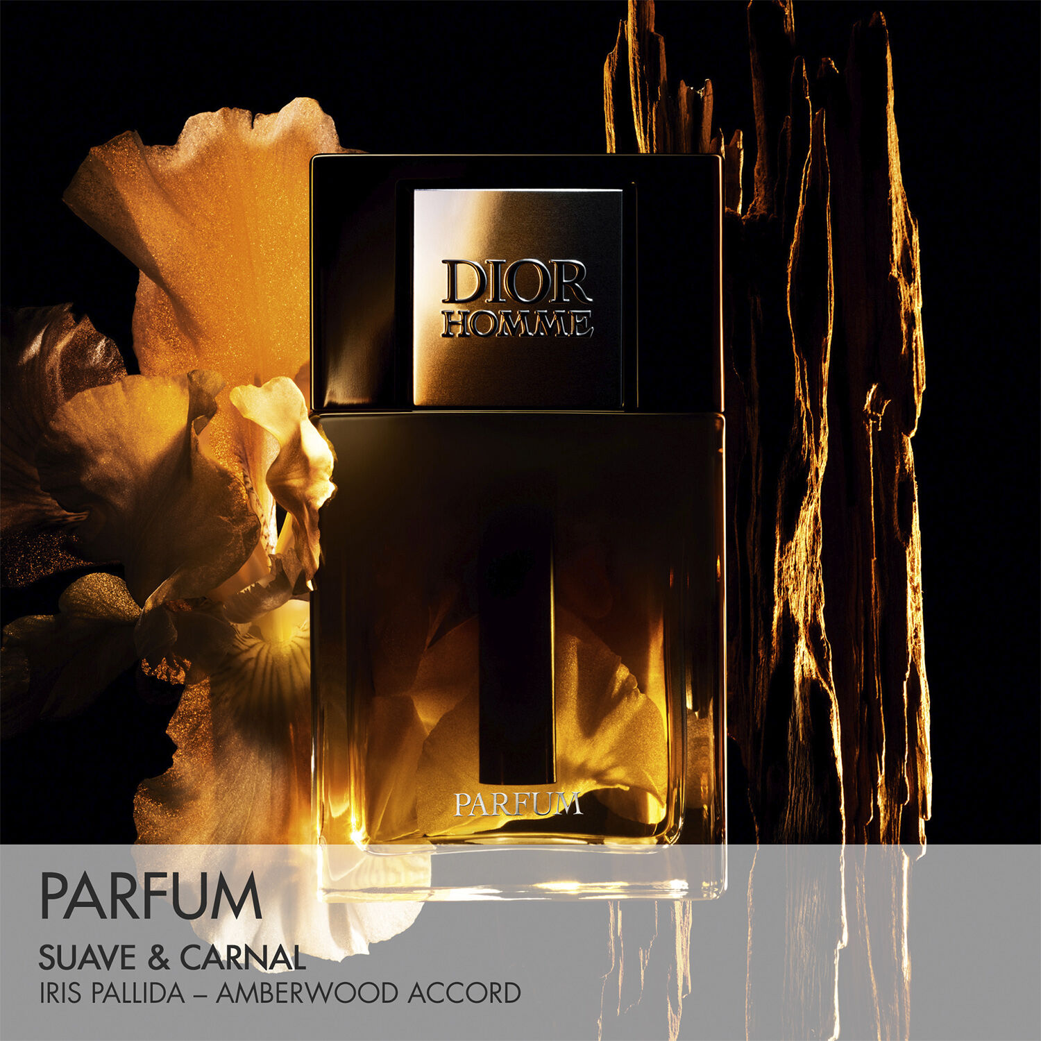 Dior Homme Parfum Fragrance