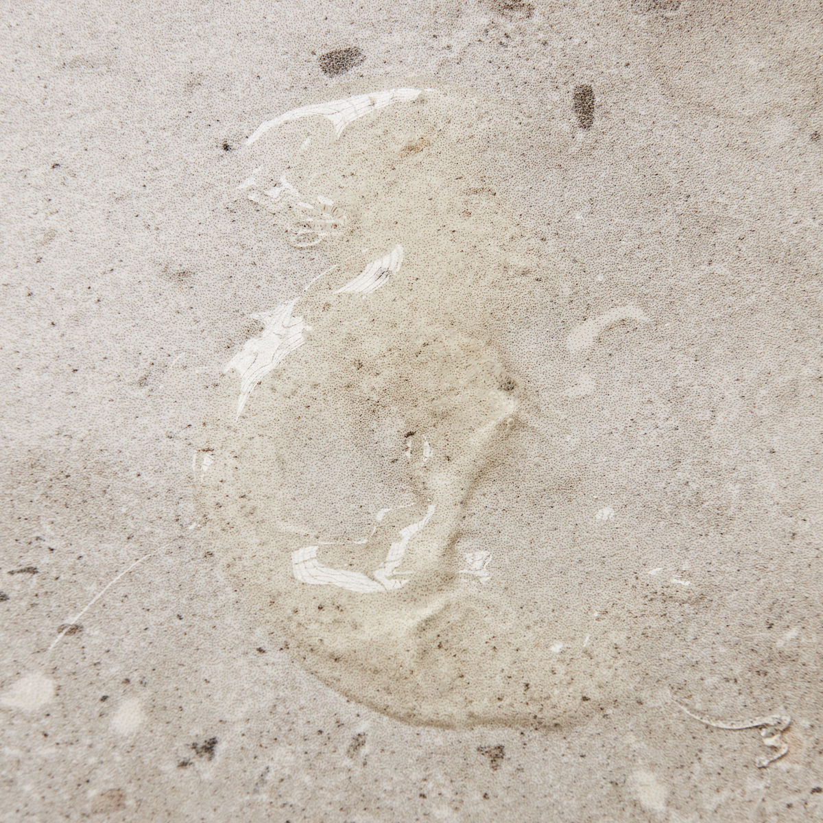 H&aring;nds&aelig;be, Meadow bliss