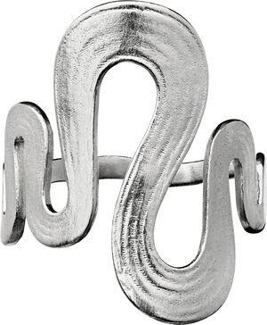 Sasja Ring