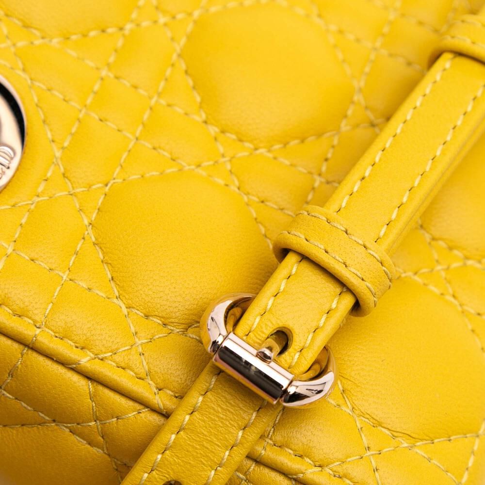 Dior Lady Dior