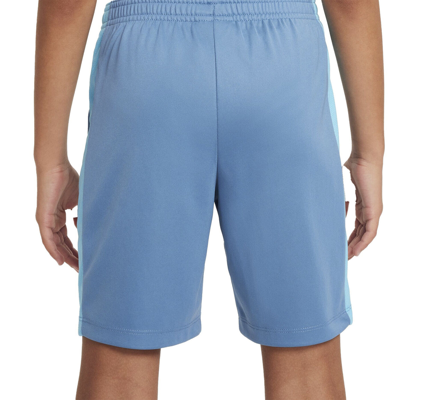 Dri-FIT Academy 23 shorts